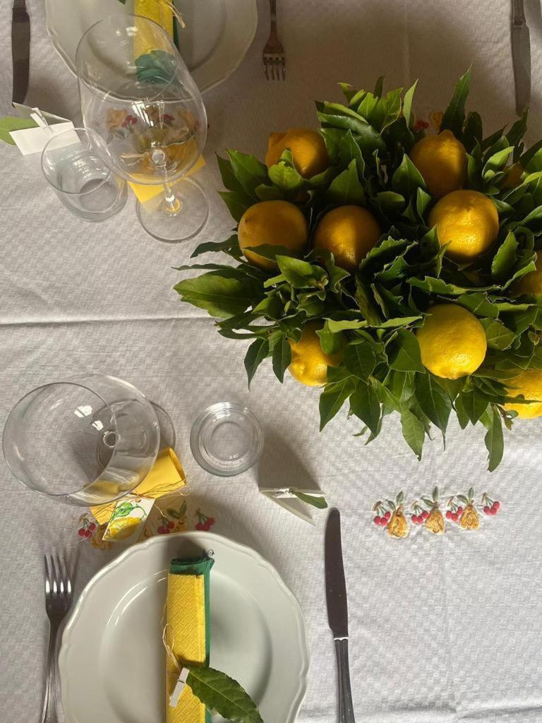 Nannini Sienne